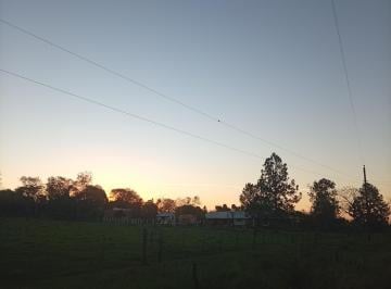 Terreno , Cerro Corá · Chacra en Cerro Cora