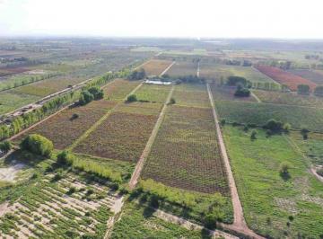 Campo · 500ha · Finca Productiva 50ha Venta El Central San Martin
