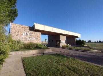 Terreno · 70m² · Lotes en Venta Bª Privado Los Álamos Maipú Mza
