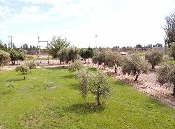 Terreno · 1600m² · Terreno en Venta Olivos de Furlotti