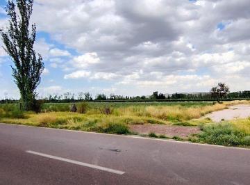 Campo · 5ha · Venta de Finca 5,2ha Perdriel, Lujan de Cuyo