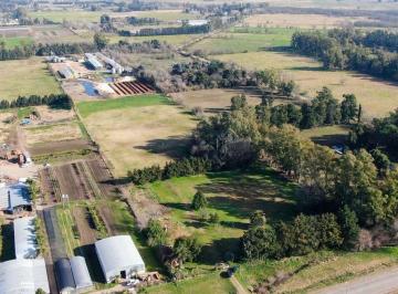 Terreno · 32000m² · Lote Industrial Rodriguez 3 Ha