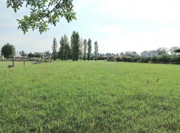 Terreno · 1198m² · Venta Gran Lote Terreno Bc Los Palenques 1198 m²