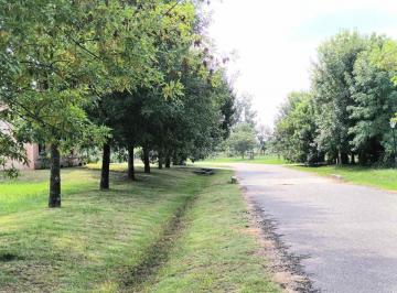 Terreno · 1198m² · Venta Gran Lote Terreno Bc Los Palenques 1198 m²