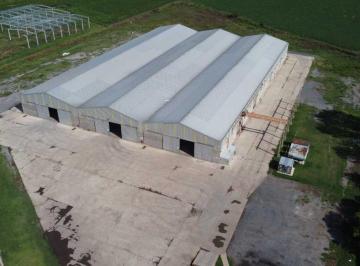 Bodega-Galpón · 7500m² · Naves Industriales en Venta - Ao12 Zona Alvear