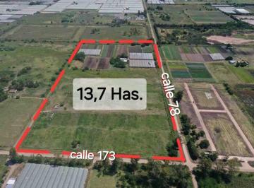 Campo · 14ha · Venta de Campo/ Fraccion de 13,77 Has, Los Hornos