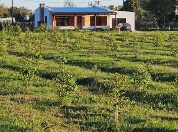 Casa de 5 ambientes, Carmen de Areco · Quinta en 2,5 Ha + Casa 170 m + Cuatriciclo + Tractor Corta Pasto + Forestaci