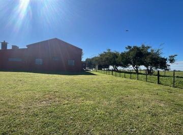Campo · 470ha · Venta de Chacra