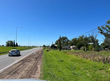 Campo · 2ha · Venta de 1,82 Ha Sobre Autovia 19 (Lote 2)