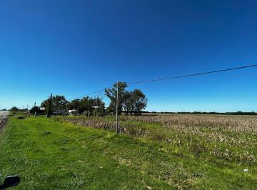Campo · 3ha · Venta de 2,83 Ha (Lote 4)