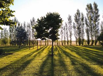 Terreno · 9060m² · Venta Permuta Financia Lote Chacras de La Trinidad