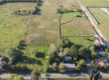 Campo · 3ha · Hectáreas en Venta en Gorina La Plata Permuta