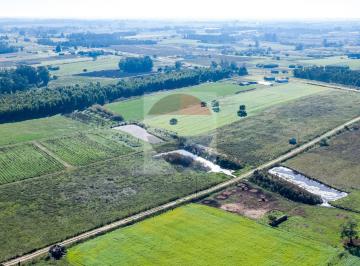 Campo · 4ha · Venta de Campo 4 Ha con Tajamar Ruta 75