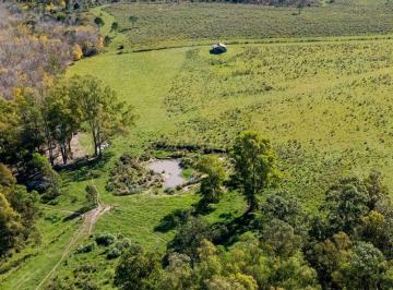 Campo · 6ha · Venta de Campo con 6 Ha en Rincón de Pando