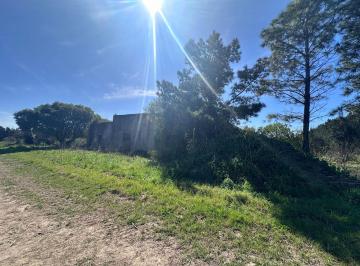 Campo · 70ha · Venta de Campo en Camino Garcés y Ruta 1