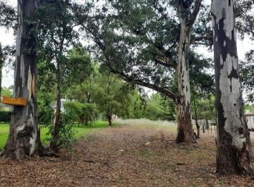 Terreno · 1125m² · Lote en Pehuen Co