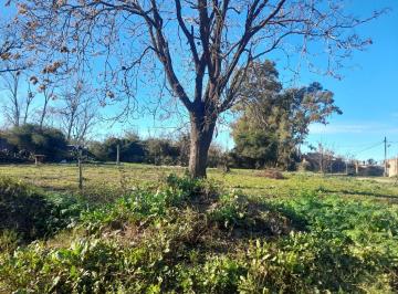 Terreno · 350m² · Terrenos en Venta en Pergamino