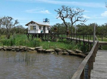 Terreno · 83739m² · Venta 8,4 Ha Para Inversión – Canal Honda - Delta