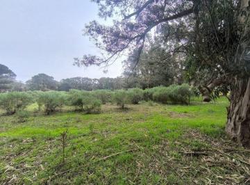 Terreno · 300m² · Venta Lote 300 m² Calle 64 y 161 Necochea