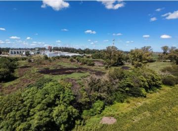 Terreno · 17500m² · Lote de 1,75 Ha a m de Rnn°8 (Curva Syngenta)
