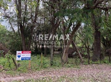 Terreno · 10000m² · Terreno - en Venta - Colonia Benitez - 1 Hectarea