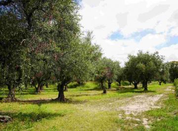 Terreno · 4966m² · Terreno en Venta, 4.965 m² Russell, Maipú