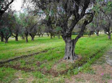 Terreno · 3675m² · Terreno de 3.674,81 m² en Ruta 60, Russel, Maipú