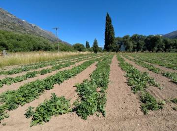 Terreno · 2500m² · Oportunidad Lote en La Localidad de El Hoyo