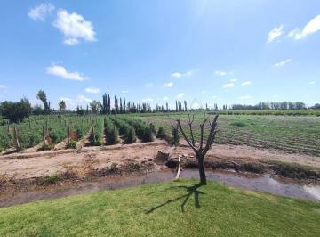 Campo · 405ha · Venta Finca El Algarrobal Mendoza