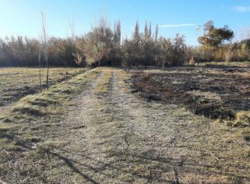 Campo · 2ha · Chacra en Blanco en Venta, General Roca