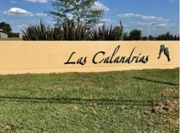 Terreno · 1004m² · Venta Lote Terreno Campana Las Calandrias