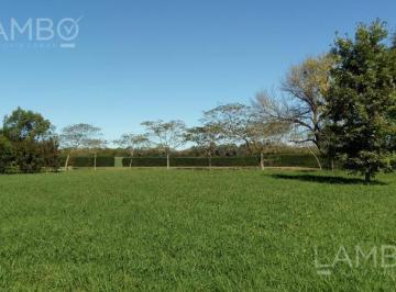 Terreno · 10000ha · Venta Lote Manzanares La Ranita
