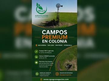 Quinta vacacional de 2 ambientes, Uruguay · Campos Premium en Colonia Uy