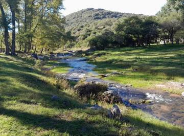 WhatsApp Image 2026-08-09 at 8.02.08 PM-2.jpeg · Venta de Campo con Rio en Cañada del Rio Pinto