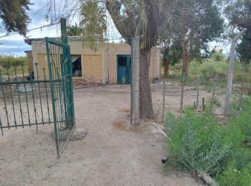 Campo · 70ha · Finca con Producción. Uva y Membrillos. 25 de Mayo