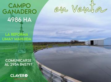 Campo · 4986ha · Se Vende Campo Ganadero de 4.986 Ha - Limay Mahuida