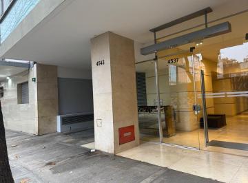 Departamento · 39m² · 1 Ambiente · Alquiler Mono Grande Dividido, Edif C/ Amenities