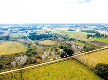 Campo · 6ha · Venta de Campo 5,6ha en Rincon de Pando, Canelones