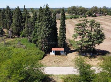 Campo · 300ha · Haras Venta 24.5 Hectáreas Mercedes - Apto Credito