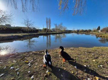 Terreno · 800m² · Lote en Venta Barrio Cruz del Sur San Vicente