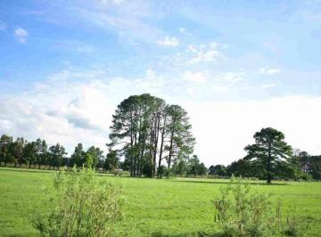 Campo · 400ha · Campo Agricola, Ganadero de 75ha en Exaltacion