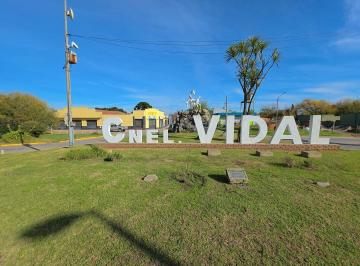 Local comercial · 413m² · Alquiler Local con Galpon Ingreso a Coronel Vidal
