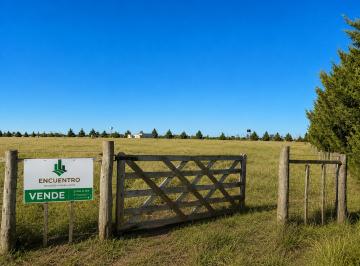 Terreno , Ataliva Roca · Terreno de 5642 m² en Venta en Chacras Lemú Cuyén