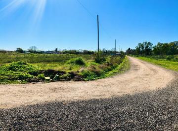 Terreno · 15ha · Venta Terreno de 15,26 Ha en La Matanza