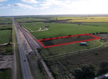 Campo · 10000ha · 1 Ambiente · Colonia - 1 Ha Ruta 1 / Radial Santa Ana