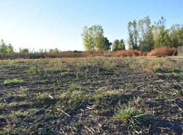 Terreno · 2000m² · Venta Terreno Capiz San Carlos Mendoza