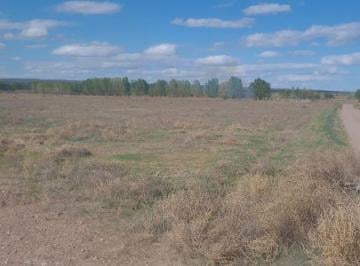 Campo , Ugarteche · ¡Vende Finca! Anchoris, Lujan de Cuyo.