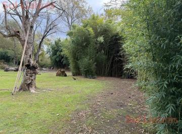 SDT-SDT-369_2 · Terreno en Venta en Islas del Delta de Tigre