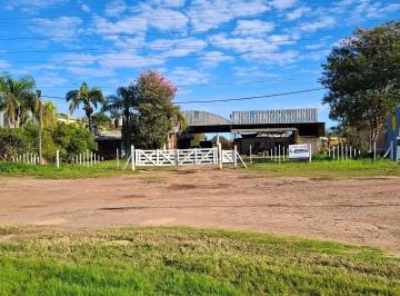 Bodega-Galpón de 5 ambientes, Charata · Venta Base Operativa y Predio Comercial Sobre Rn89 | Galpón con Oficinas y Vivienda Independiente |