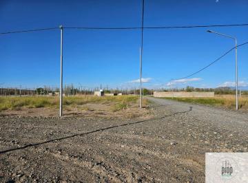 Terreno , Plottier · Terreno en Plottier. Don Hector. Listo Para Escriturar y Construir